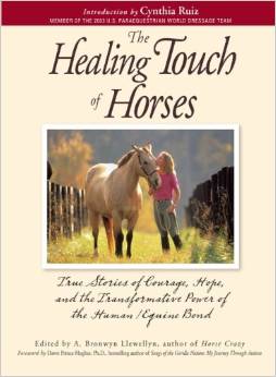 Healingtouchofhorseslarge Linda Seger Script Consultant